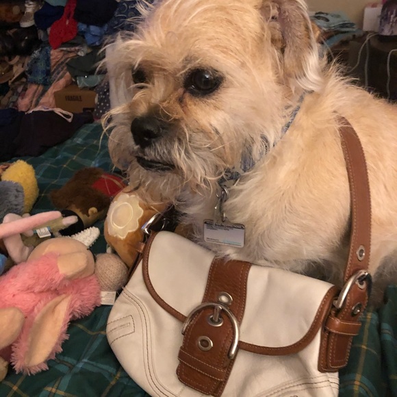Coach Handbags - ❤️AUTHENTIC❤️COACH W WhiteBag/Purse Free wristlet